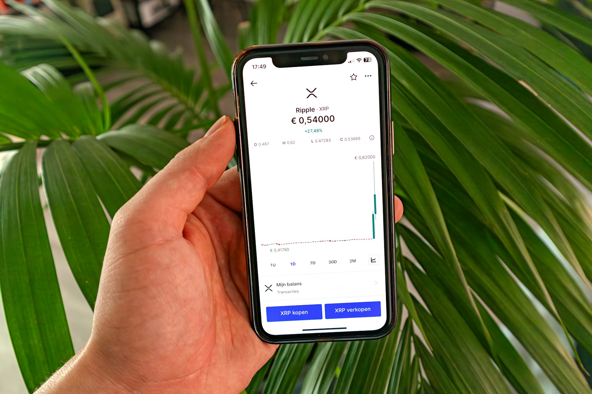 Should You Buy XRP Now? Market Trends & Predictions for 2025